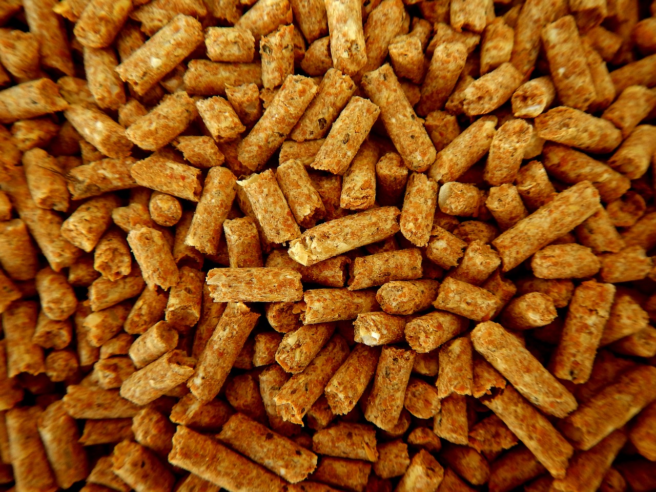 feed, animal nutrition, pellets-2615928.jpg